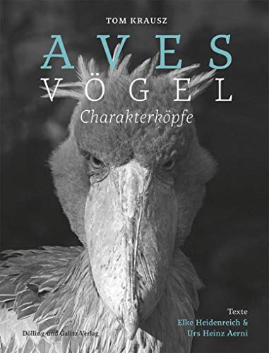 Imagen de archivo de Aves | Vgel. Charakterkpfe a la venta por medimops