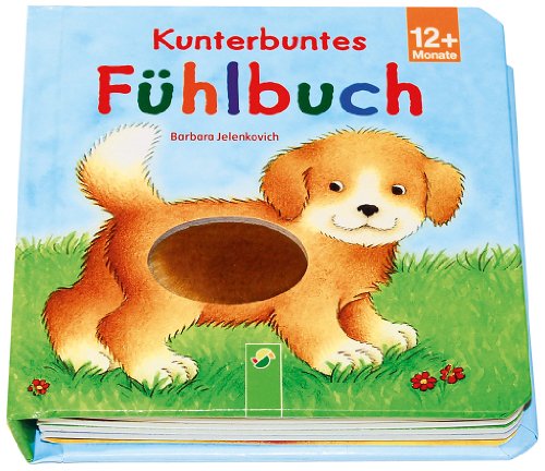 Imagen de archivo de Kunterbuntes Fhlbuch a la venta por Ammareal