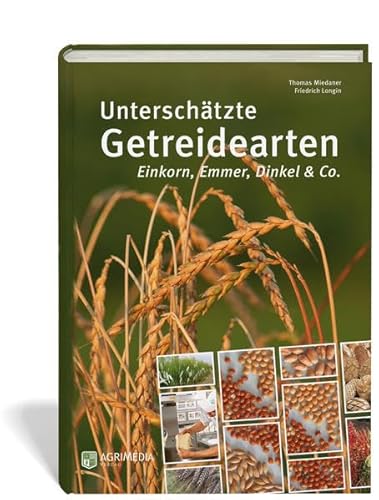 Unterschätzte Getreidearten: Einkorn, Emmer, Dinkel & Co.