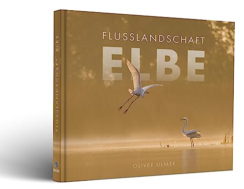 Stock image for Flusslandschaft Elbe for sale by medimops