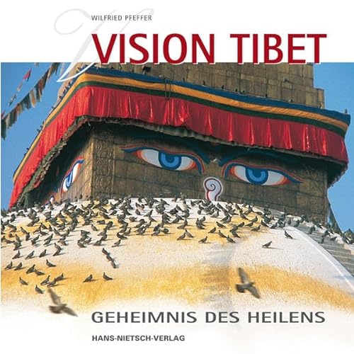 Stock image for Vision Tibet - Geheimnis des Heilens for sale by medimops