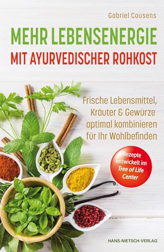 Imagen de archivo de Mehr Lebensenergie mit ayurvedischer Rohkost -Language: german a la venta por GreatBookPrices