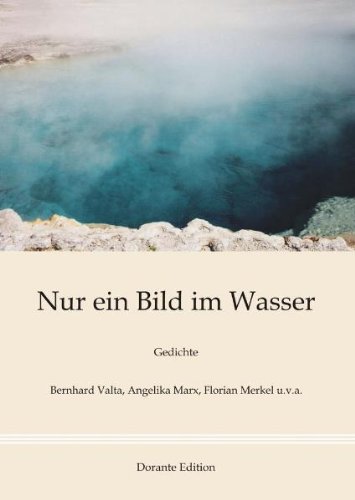 Stock image for Nur ein Bild im Wasser : Gedichte for sale by Buchpark