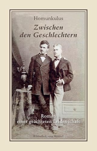 Stock image for Zwischen den Geschlechtern: Roman einer gechteten Leidenschaft for sale by medimops