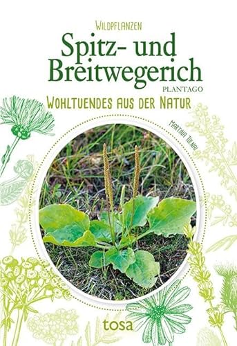 Beispielbild fr Spitz- und Breitwegerich -Language: german zum Verkauf von GreatBookPrices