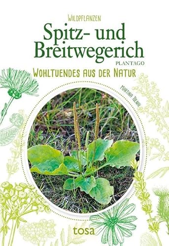 Stock image for Spitz- und Breitwegerich -Language: german for sale by GreatBookPrices