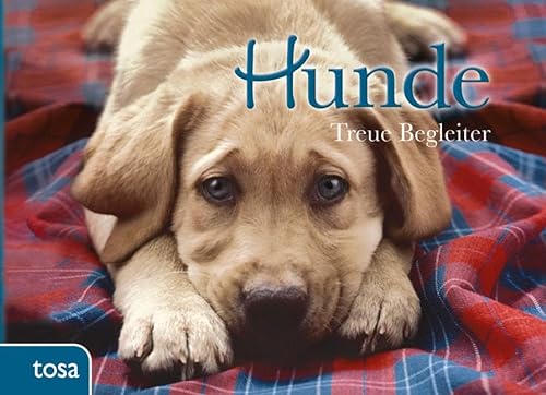 Stock image for Hunde for sale by GreatBookPrices