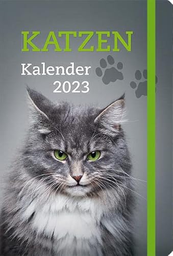 Beispielbild fr Katzen - Kalender 2023: Taschenkalender mit Lesebndchen und Gummiband zum Verkauf von medimops