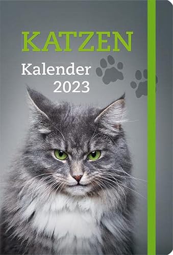 Stock image for Katzen - Kalender 2023: Taschenkalender mit Lesebndchen und Gummiband for sale by medimops