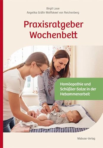 Beispielbild fr Praxisratgeber Wochenbett. Homopathie und Schler-Salze in der Hebammenarbeit zum Verkauf von medimops