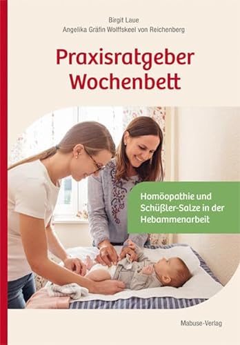 9783863214487: Praxisratgeber Wochenbett: Homopathie und Schler-Salze in der Hebammenarbeit