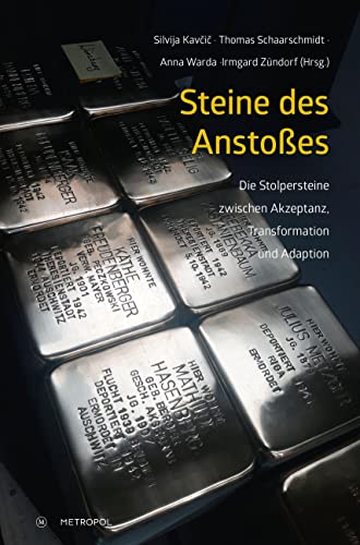 Stock image for Steine des Anstoes -Language: german for sale by GreatBookPrices