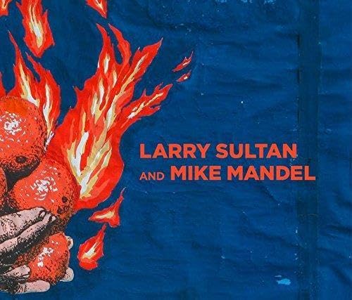 Larry Sultan and Mike Mandel /anglais (9783863352066) by Mike Mandel; Sultan, Larry