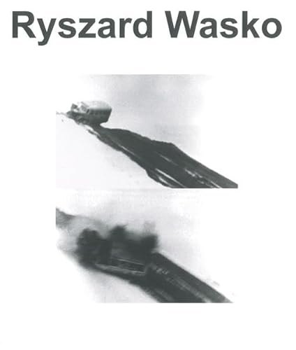 Stock image for Ryszard Wasko: choice for sale by ANARTIST