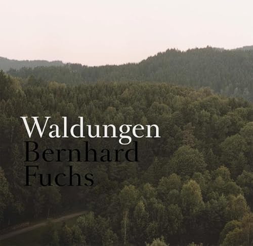 Beispielbild fr Bernhard Fuchs. Waldungen (German) zum Verkauf von Antiquariat UEBUE