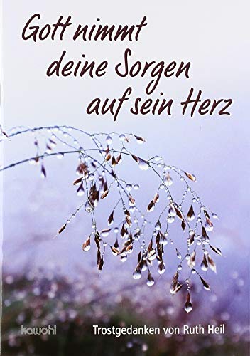 Imagen de archivo de Gott nimmt deine Sorgen auf sein Herz -Language: german a la venta por GreatBookPrices