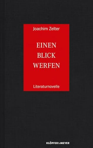 Imagen de archivo de Einen Blick werfen: Literaturnovelle a la venta por medimops