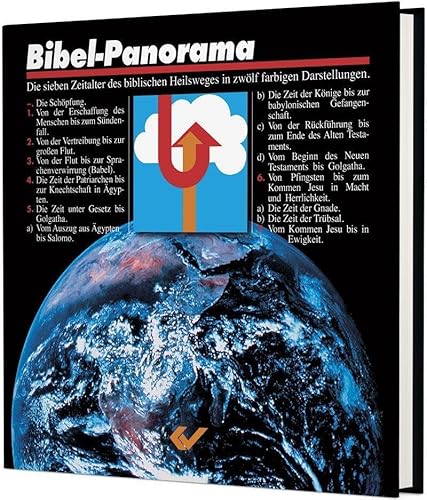 Imagen de archivo de Bibel Panorama a la venta por GreatBookPrices