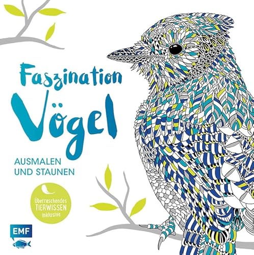 Imagen de archivo de Faszination Vgel - Zum Ausmalen und Staunen: berraschendes Tierwissen inklusive a la venta por medimops