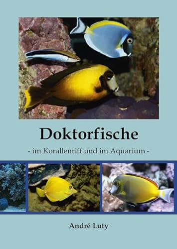 Doktorfische im Korallenriff und im Aquarium - André Luty