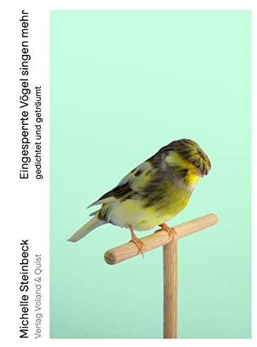 Eingesperrte Vögel singen mehr : gedichtet und geträumt - Michelle Steinbeck
