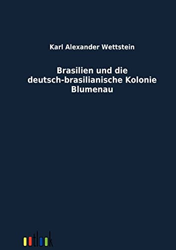 Stock image for Brasilien und die deutsch-brasilianische Kolonie Blumenau for sale by Ria Christie Collections