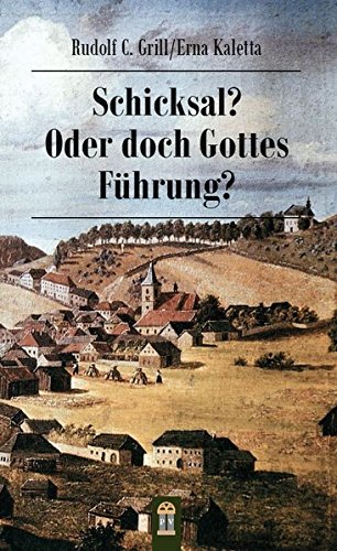 Stock image for Schicksal? Oder doch Gottes Fhrung? for sale by medimops