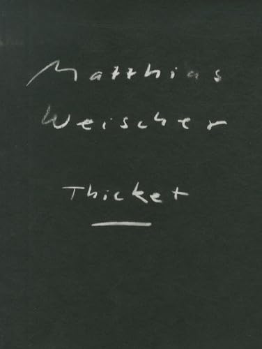 9783864420672: Matthias Weischer: Thicket