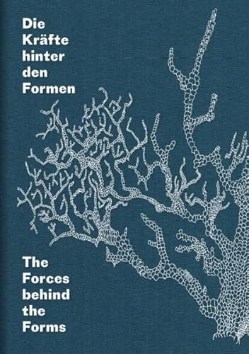 9783864421716: The Forces Behind the Forms: Geology, Matter, Process in Contemporary Art