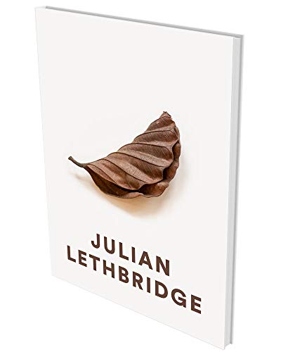 Stock image for Julian Lethbridge for sale by Open Books