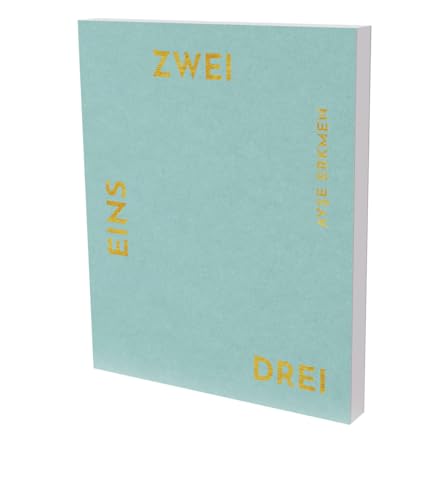 Stock image for Ayse Erkmen: Eins Zwei Drei: Cat. Kunsthalle Vogelmann. St ¤dtische Museen Heilbronn (Kunsthalle Vogelmann. St ¤dtische Museen Heilbronn) Hardcover for sale by booksXpress