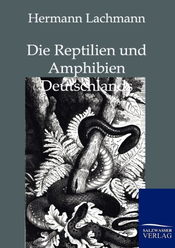 Beispielbild fr Die Reptilien und Amphibien Deutschlands zum Verkauf von Buchpark