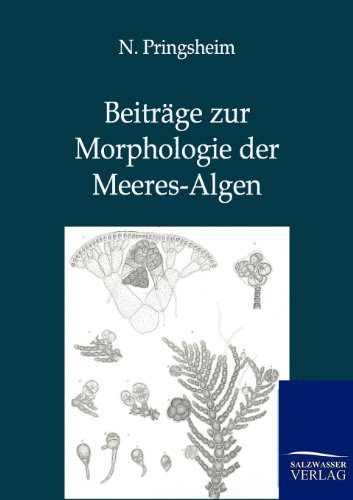Stock image for Beitrage zur Morphologie der Meeres-Algen for sale by Chiron Media