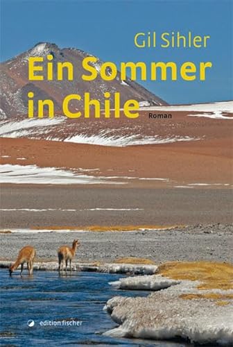 Stock image for Ein Sommer in Chile: Roman for sale by medimops