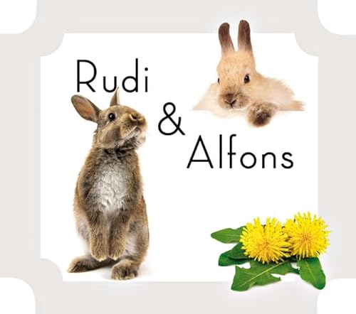 Stock image for Rudi & Alfons. Aus dem Leben zweier Hasenbrder for sale by medimops
