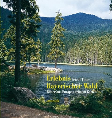 Stock image for Erlebnis Bayerischer Wald: Bilder aus Europas grnem Garten for sale by medimops