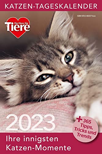 Beispielbild fr Ein Herz fr Tiere: Katzen Tageskalender 2023 (Tischkalender, Wandkalender) zum Verkauf von medimops