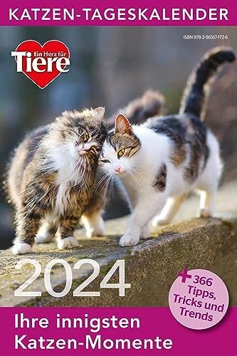 Beispielbild fr Katzen Tageskalender 2024 zum Verkauf von medimops