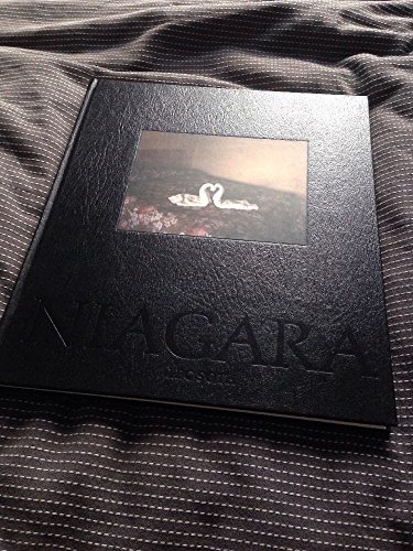 9783865212337: Alec Soth: Niagara