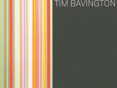 Tim Bavington (9783865212856) by Tim Bavington; Dave Hickey