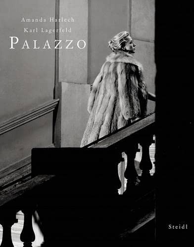 Imagen de archivo de Palazzo a la venta por Historien & Lexica