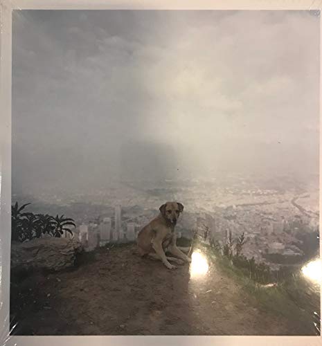 Dog Days Bogota (9783865214515) by Soth, Alec