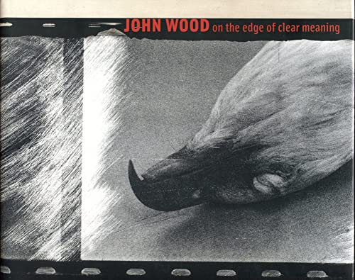 9783865216892: John Wood: On the Edge of Clear Meaning