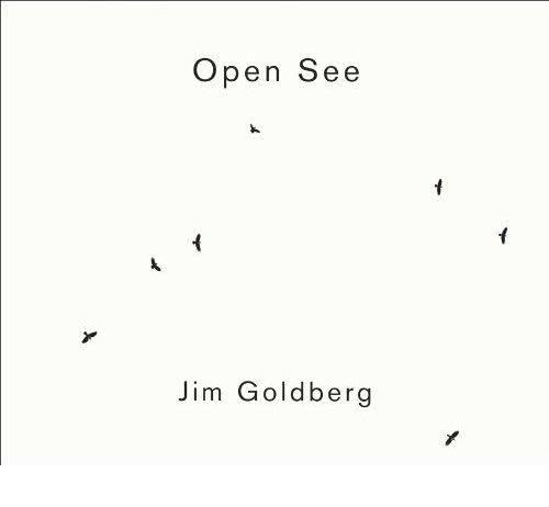 9783865218261: Jim Goldberg: Open See