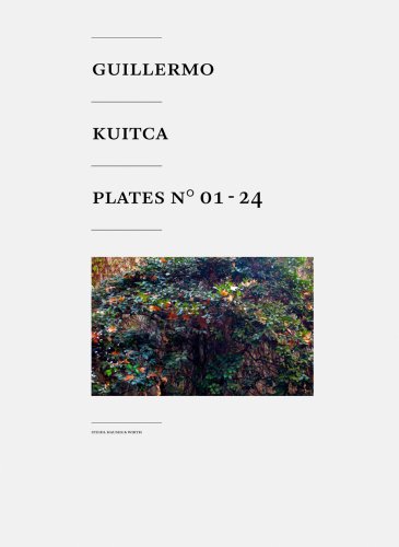 Stock image for Guillermo Kuitca: Plates No. 01-24 for sale by Holt Art Books