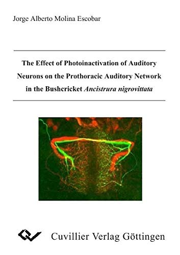 9783865371157: Escobar, M: Effect of Photoinactivation of Auditory Neurons