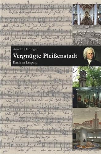 Stock image for Vergngte Pleienstadt for sale by medimops