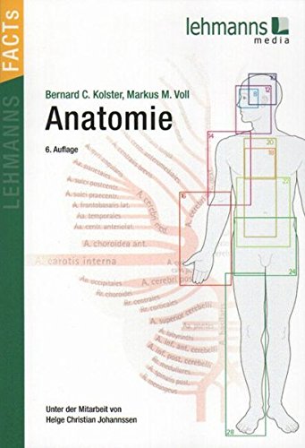 Imagen de archivo de Anatomie: Lehmanns Facts! a la venta por medimops