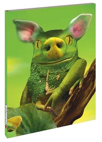 Beispielbild fr Crazy Frog: Blank Book large zum Verkauf von medimops