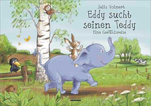 Eddy sucht seinen Teddy : Eine Gefühlsreise - Julia Volmert